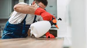 Real Estate Pest Inspections in Fobes Hill, WA